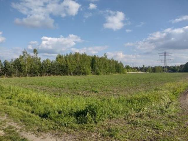 Bezpośrednio, Stefanowo, ul. Malinowa, 10000 m² Działka