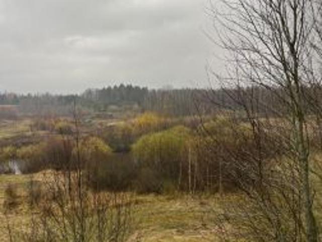 Bezpośrednio, Stręgiel, 303000 m² Działka