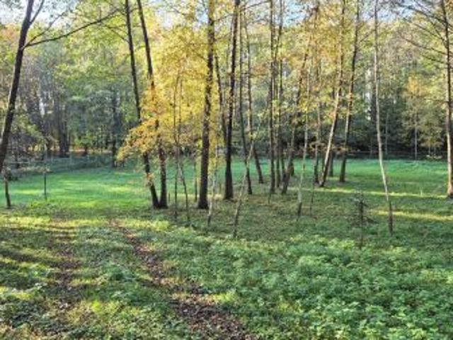 Bezpośrednio, Strażów, 7600 m² Działka
