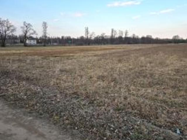 Bezpośrednio, Strachówka, 22000 m² Działka