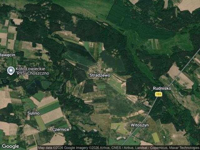Bezpośrednio, Stradzewo, 59000 m² Działka