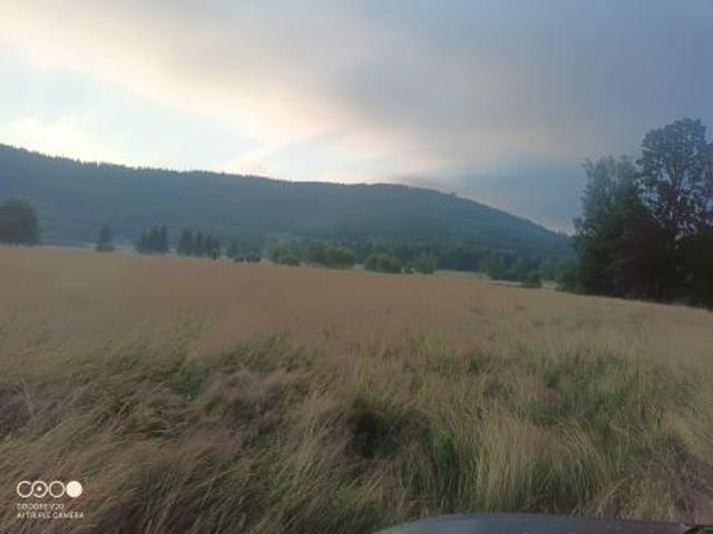 Bezpośrednio, Strużnica, 1000 m² Działka
