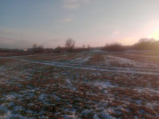 Bezpośrednio, Strzała, ul. Zamiejska, 1100 m² Działka