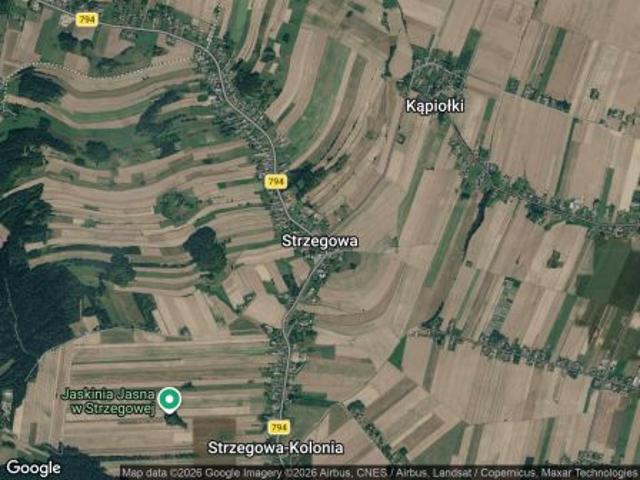 Bezpośrednio, Strzegowa, 40000 m² Działka