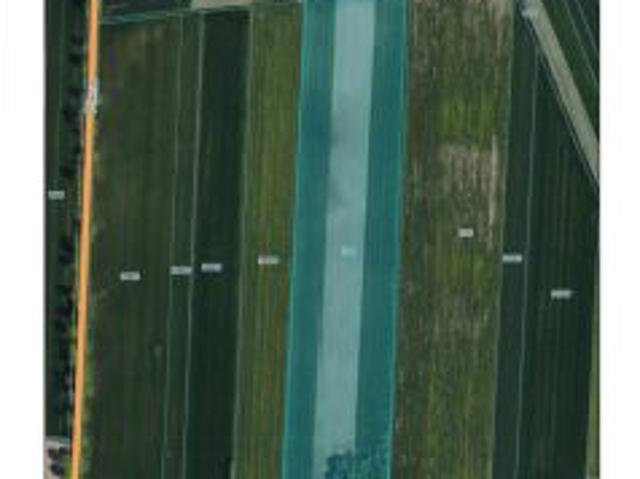 Bezpośrednio, Strzelce Wielkie, 50000 m² Działka