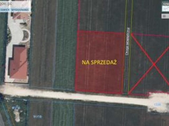 Bezpośrednio, Strzelce Wielkie, ul. Kalinowa, 1870 m² Działka