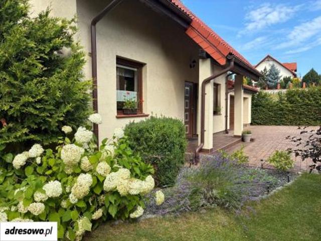 Bezpośrednio, Strzelino, ul. Pogodna, 142 m² Dom