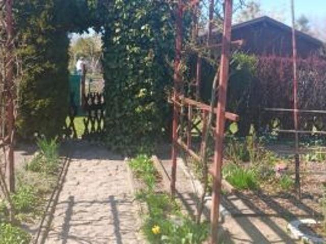 Bezpośrednio, Strzelno, 400 m² Działka