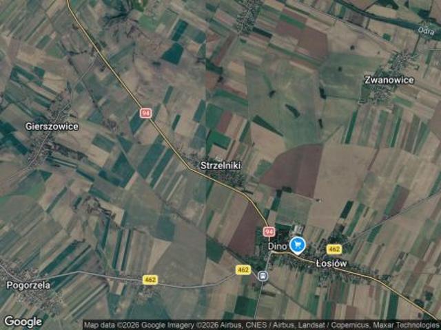 Bezpośrednio, Strzelniki, 3915 m² Działka