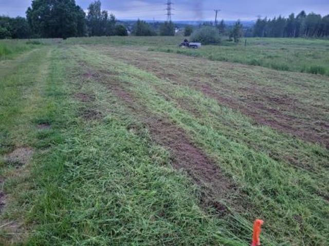 Bezpośrednio, Sułków, 4200 m² Działka