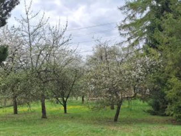 Bezpośrednio, Sułkowice, Łęg, ul. Kościelna, 2200 m² Działka