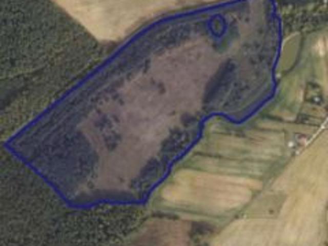 Bezpośrednio, Sucha, 120600 m² Działka