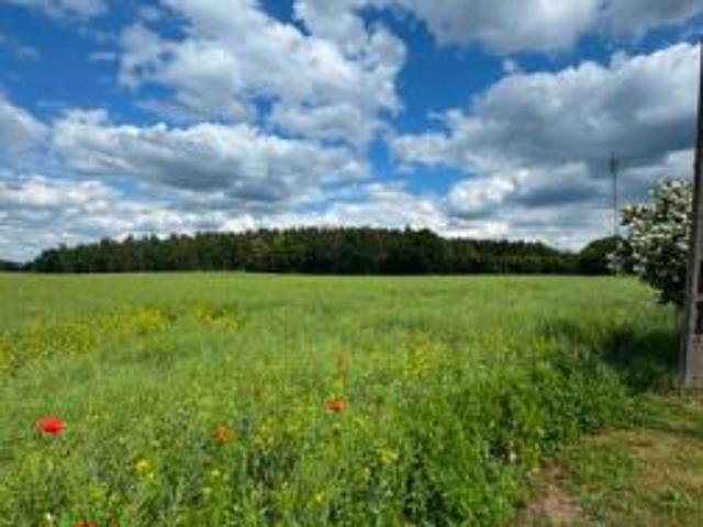 Bezpośrednio, Sucumin, 3000 m² Działka