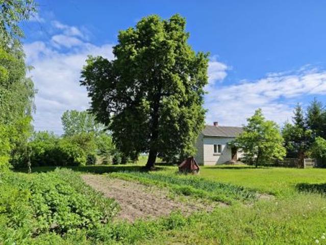 Bezpośrednio, Sukowska Wola, 88200 m² Działka
