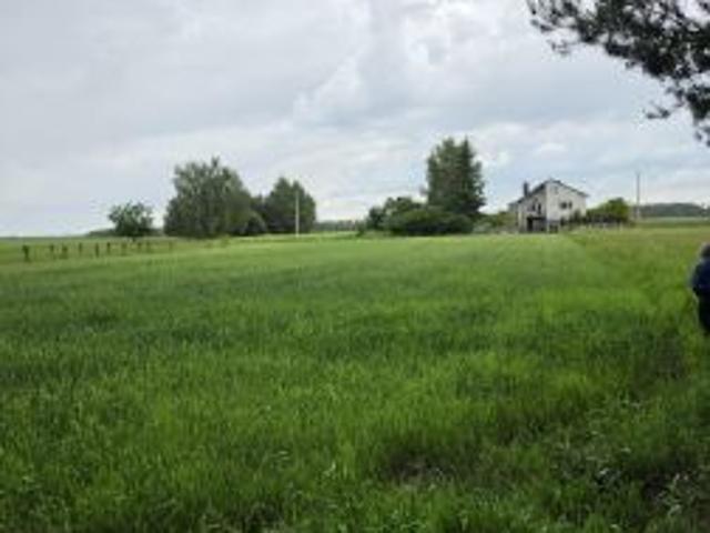 Bezpośrednio, Sulików, 20000 m² Działka