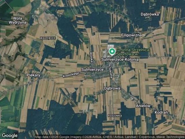 Bezpośrednio, Sulmierzyce, 10700 m² Działka