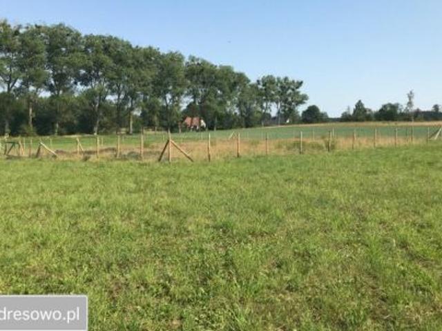 Bezpośrednio, Sulmin, 878 m² Działka