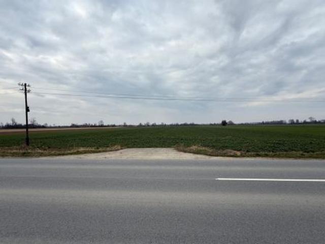 Bezpośrednio, Surochów, 4000 m² Działka