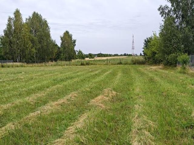 Bezpośrednio, Suszno, Suszno Kolonia, ul. Zielona, 1396 m² Działka
