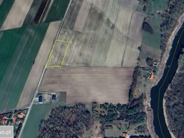 Bezpośrednio, Suszno, 1000 m² Działka