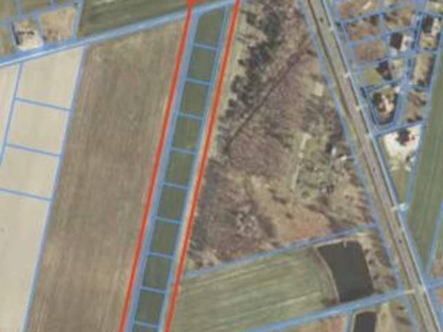 Bezpośrednio, Suszno, ul. Modrzewiowa, 1100 m² Działka