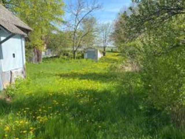Bezpośrednio, Swory, 2900 m² Działka