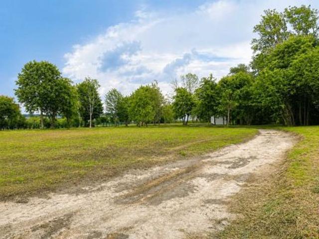 Bezpośrednio, Szymonka, 6500 m² Działka