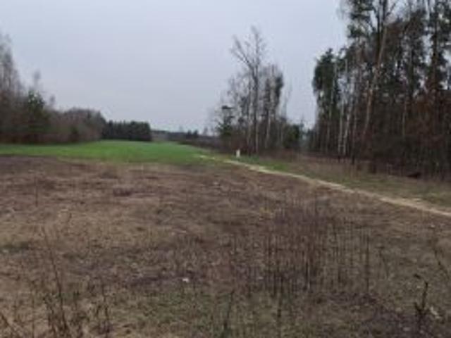 Bezpośrednio, Szadki, 800 m² Działka
