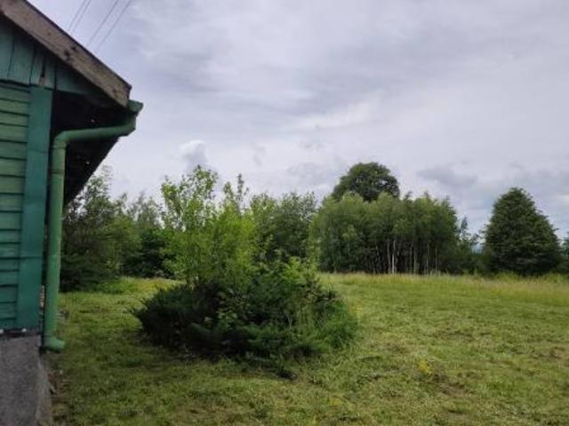 Bezpośrednio, Szalowa, Górzyna, 4900 m² Działka