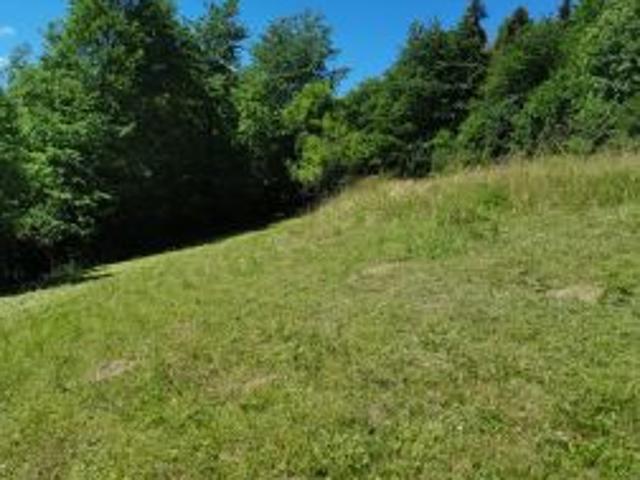 Bezpośrednio, Szczawnica, Kunie, ul. Kunie, 1263 m² Działka