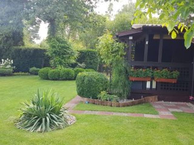 Bezpośrednio, Szczaki, ul. Mrokowska, 500 m² Działka