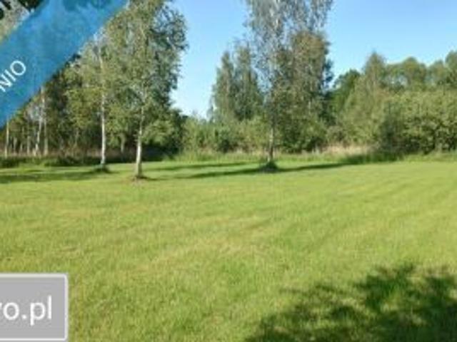 Bezpośrednio, Szczechy Małe, 2000 m² Działka