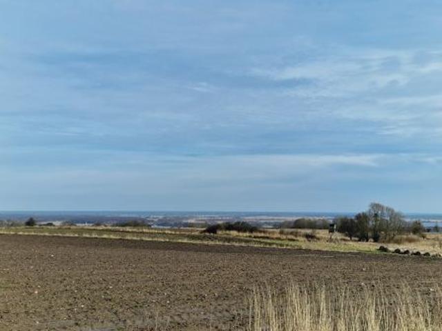 Bezpośrednio, Szczecin, Skolwin, ul. Krajobrazowa, 1322 m² Działka