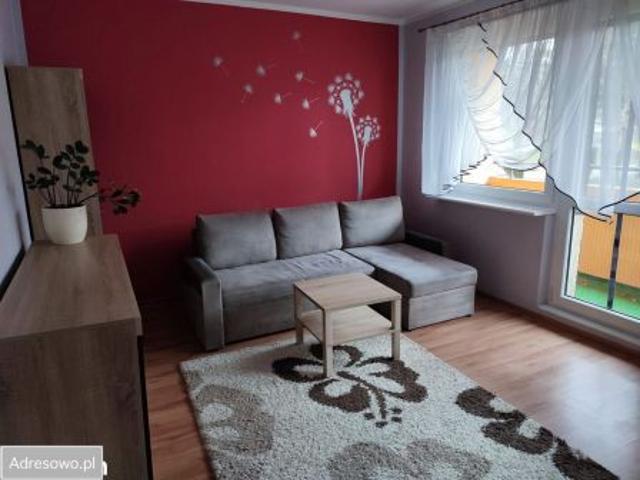 Bezpośrednio, Szczecin, ul. Władysława Szafera, 42 m² Mieszkanie