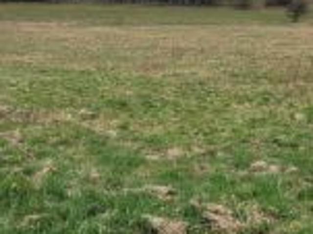 Bezpośrednio, Szczytna, ul. Polna, 1028 m² Działka