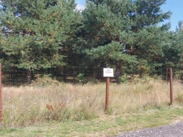 Bezpośrednio, Szczytniki, ul. Rzeczna, 700 m² Działka