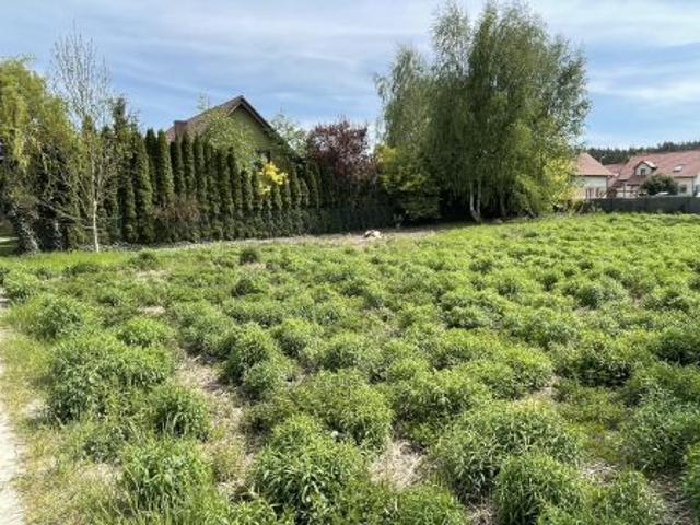 Bezpośrednio, Szczytniki, ul. Szczodra, 1014 m² Działka