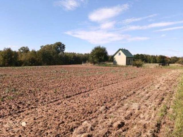 Bezpośrednio, Szewna, 17300 m² Działka