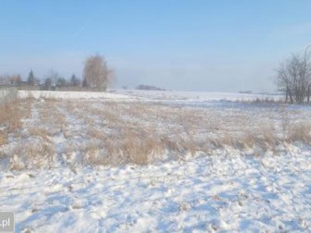 Bezpośrednio, Szewce, ul. Długa, 916 m² Działka
