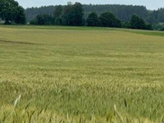 Bezpośrednio, Szkudaj, 110292 m² Działka