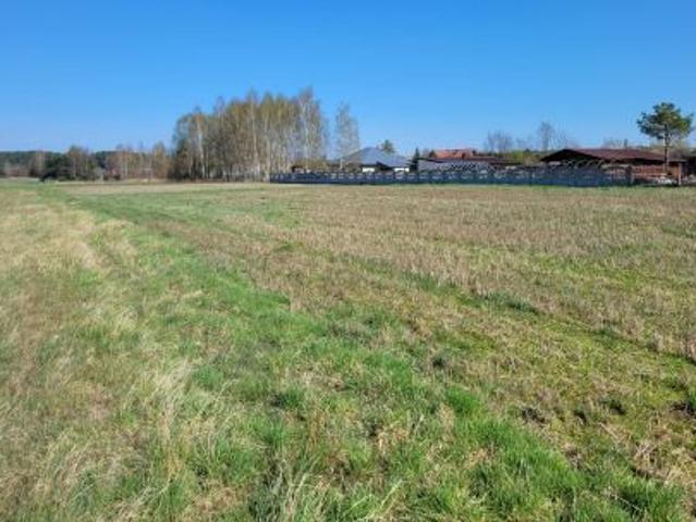 Bezpośrednio, Pławno, ul. Przedborska, 900 m² Działka