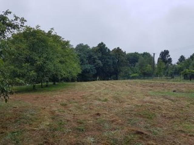 Bezpośrednio, Płaza, 1360 m² Działka