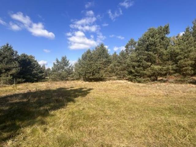 Bezpośrednio, Pędzewo, 900 m² Działka
