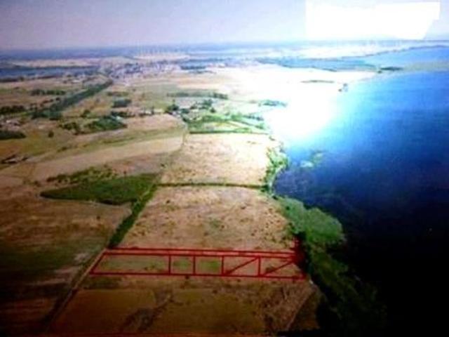 Bezpośrednio, Płocin, 3000 m² Działka