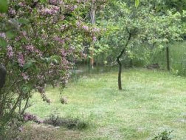Bezpośrednio, Płock, ul. Sierpecka, 44 m² Mieszkanie
