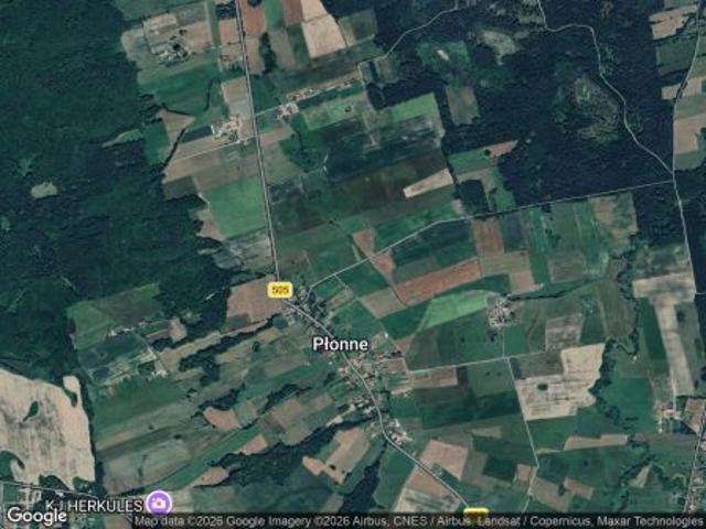 Bezpośrednio, Płonne, 16800 m² Działka