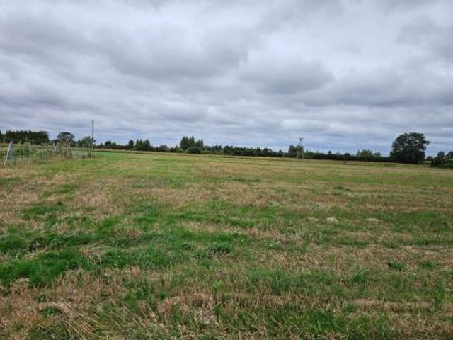Bezpośrednio, Płoskie, 1254 m² Działka