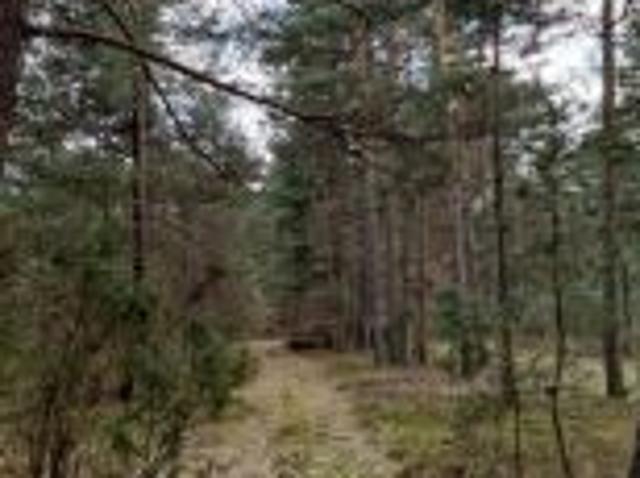 Bezpośrednio, Potok Senderki, 19400 m² Działka