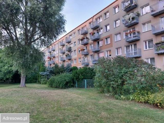 Bezpośrednio, Poznań, Winogrady, os. Wichrowe Wzgórze, 53 m² Mieszkanie