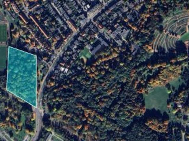 Bezpośrednio, Poznań, Winogrady, ul. Winogrady, 21330 m² Działka
